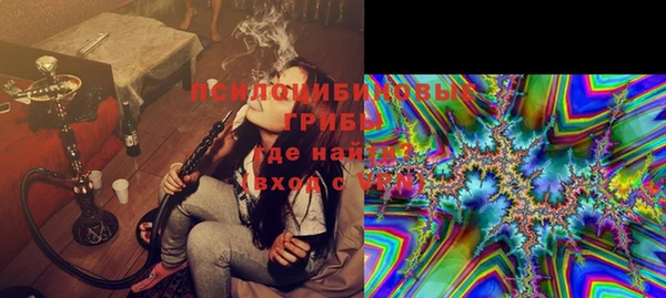 ГАЛЛЮЦИНОГЕННЫЕ ГРИБЫ Алзамай