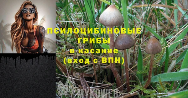 хмурый Алексеевка