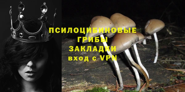 ГАЛЛЮЦИНОГЕННЫЕ ГРИБЫ Алзамай