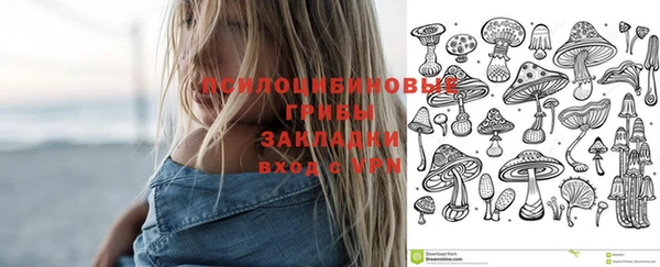 хмурый Алексеевка