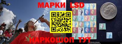 ECSTASY Нальчик