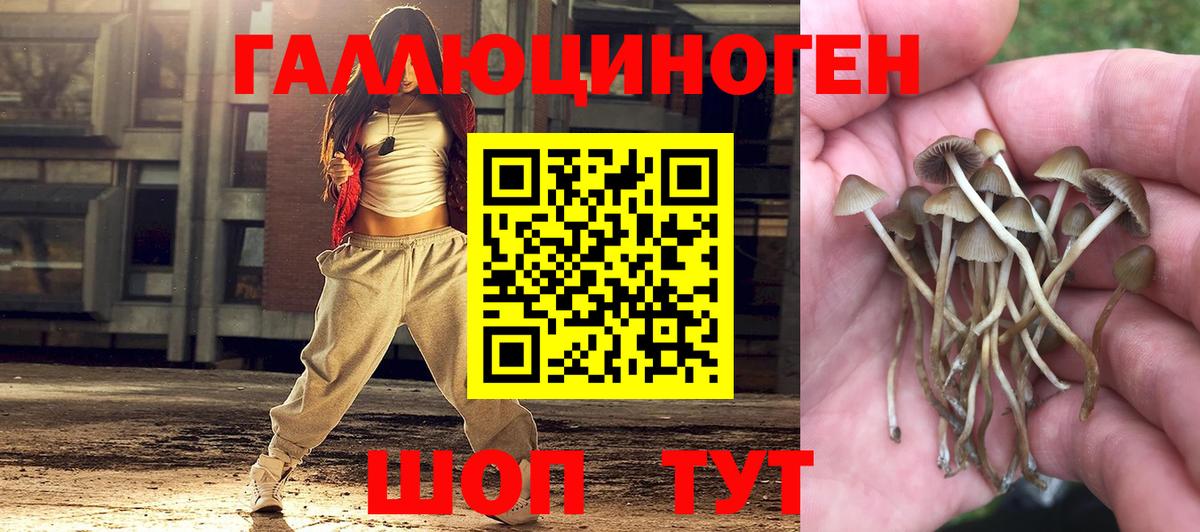 Галлюциногенные грибы Psilocybine cubensis  Вход с VPN  Пенза 